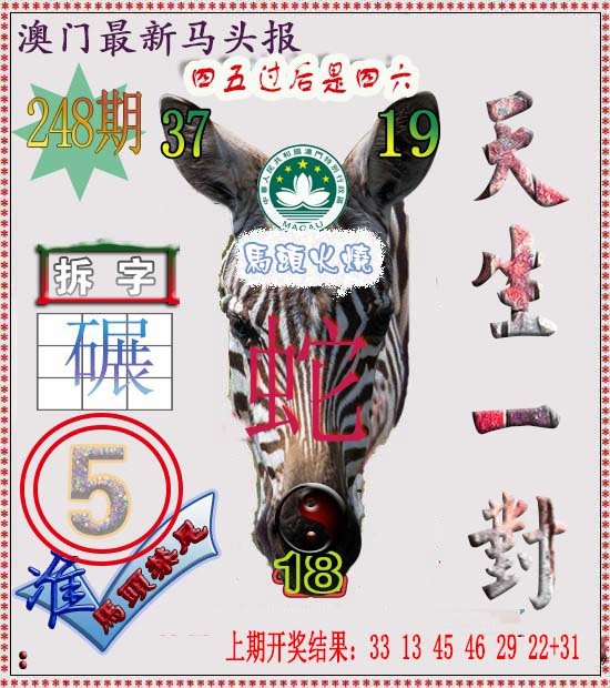 2024248期马头报