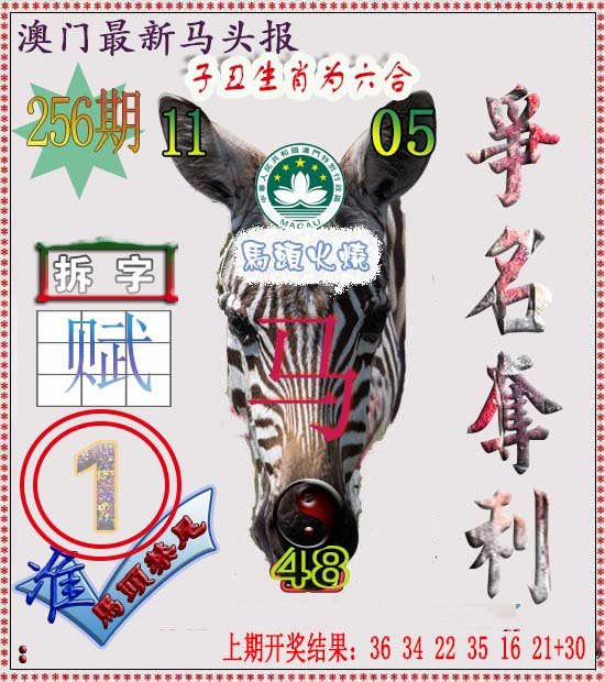 2024256期马头报