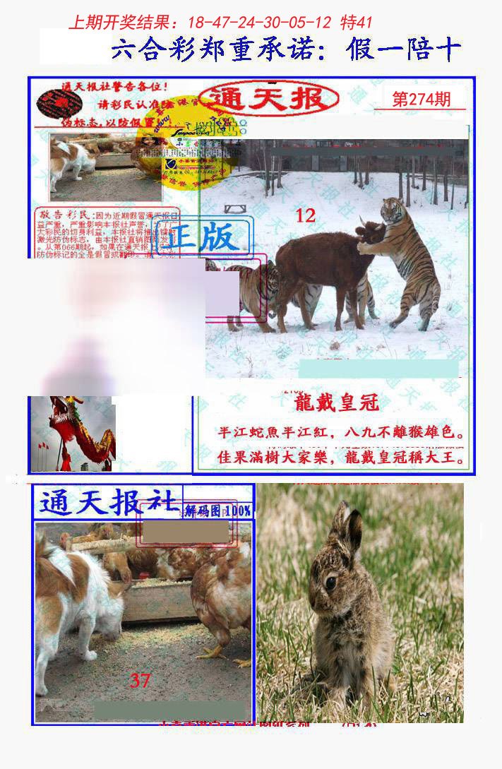 2024274期假一陪十通天报