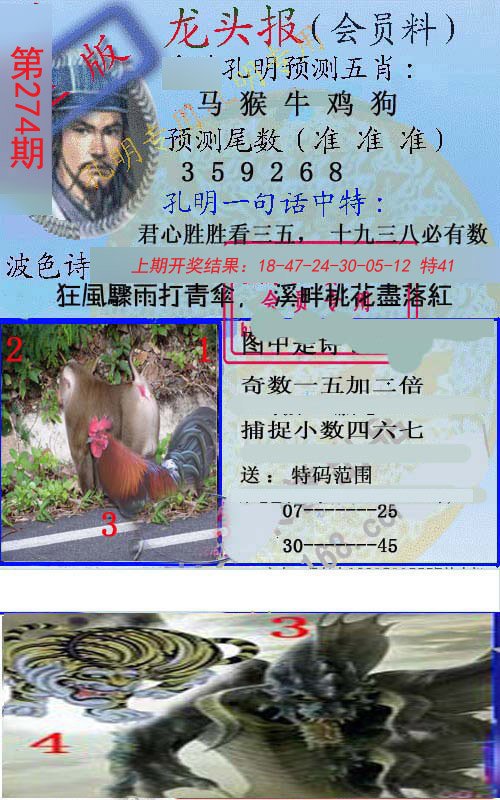 2024274期龙头报