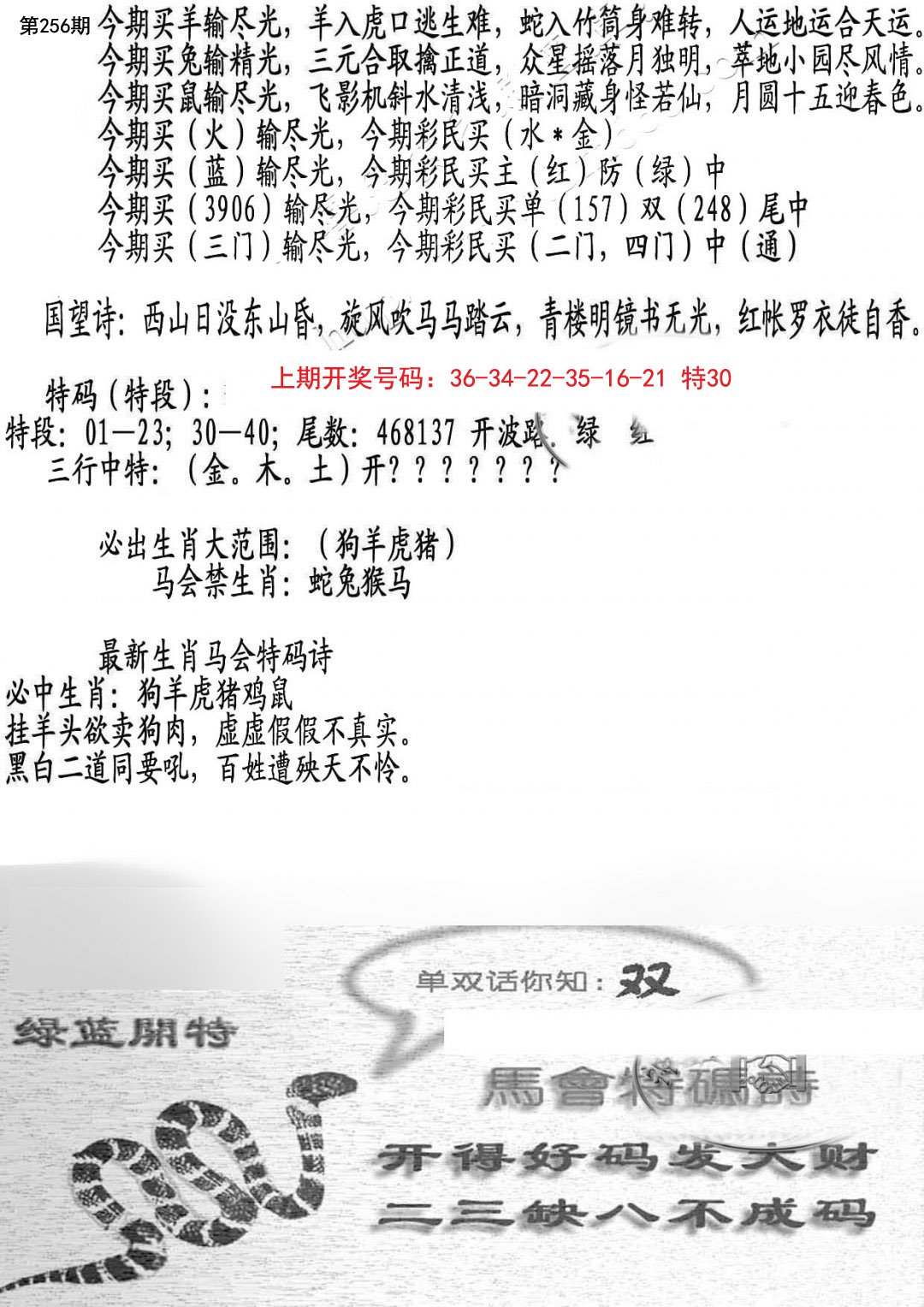 2024256期蛇报B