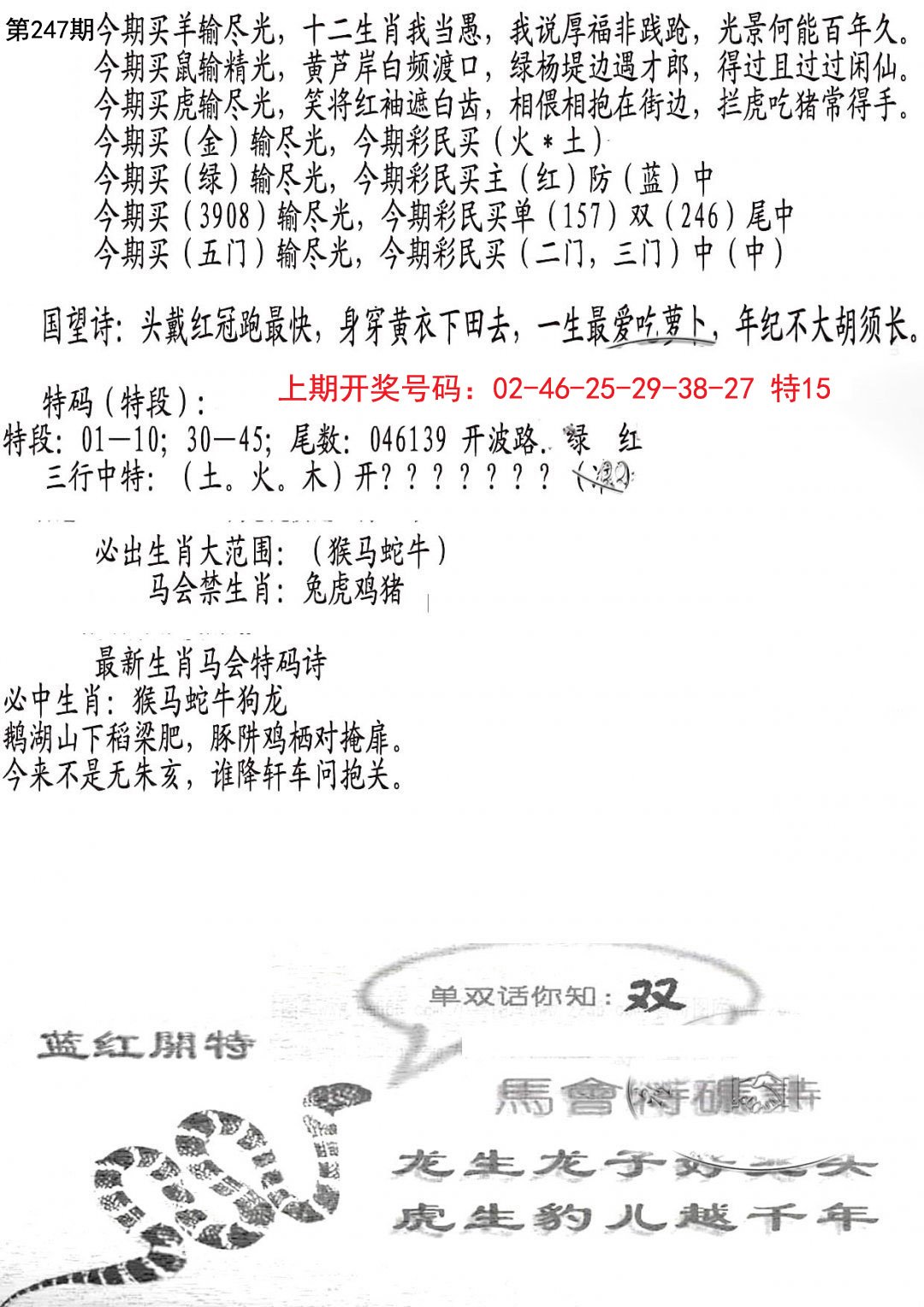 2024247期蛇报B