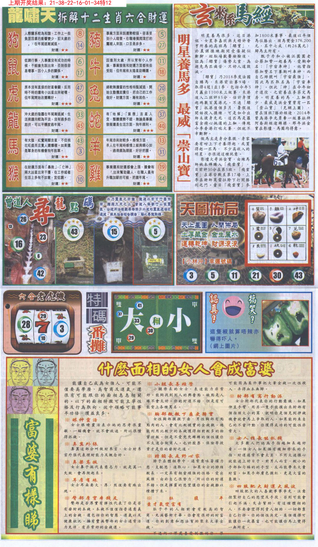 2024268期新报跑狗B