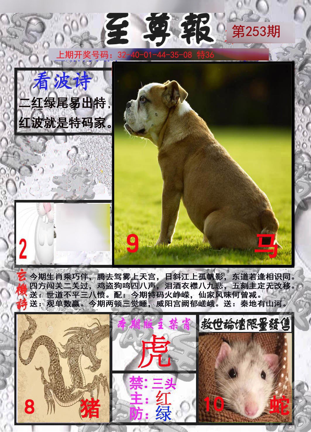 2024253期至尊报