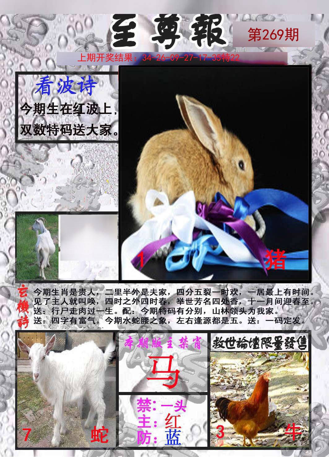 2024269期至尊报