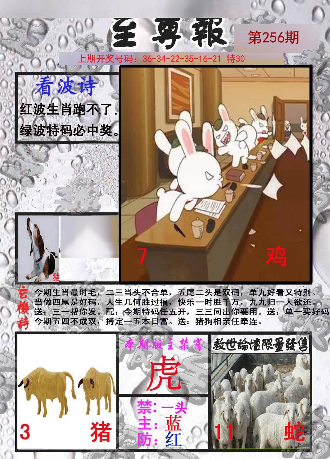 2024256期至尊报