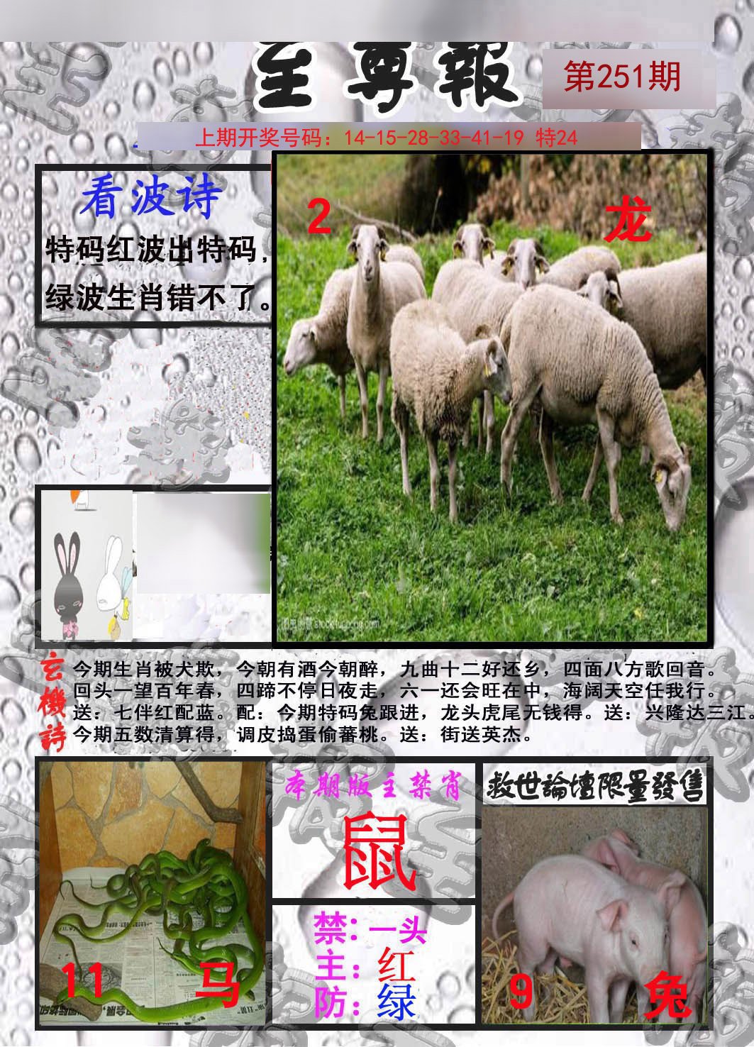 2024251期至尊报