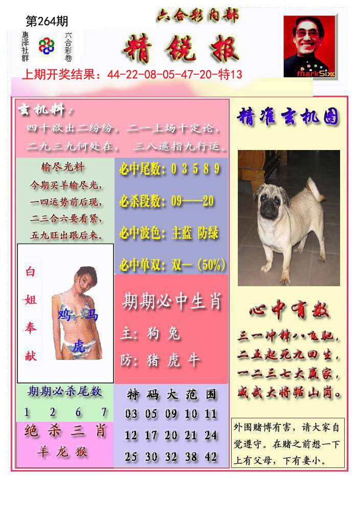 2024264期精锐报