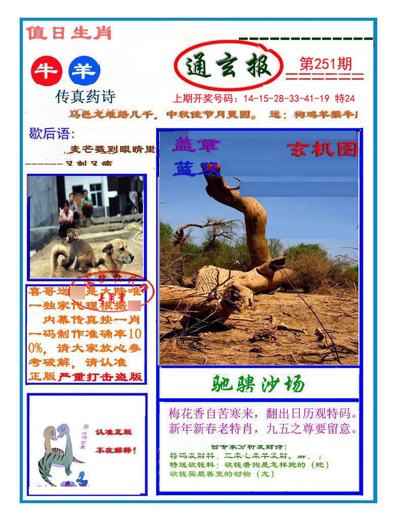 2024251期通玄报