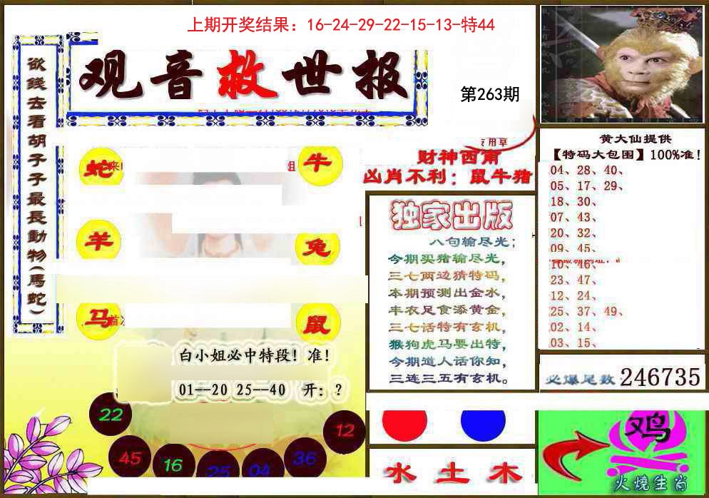 2024263期(另)观音救世密报
