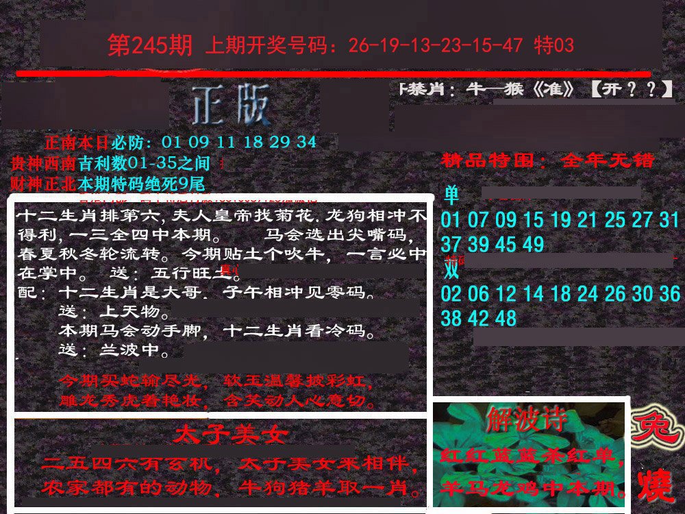 2024245期新港内幕