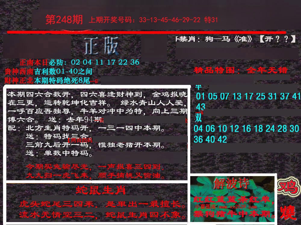2024248期新港内幕
