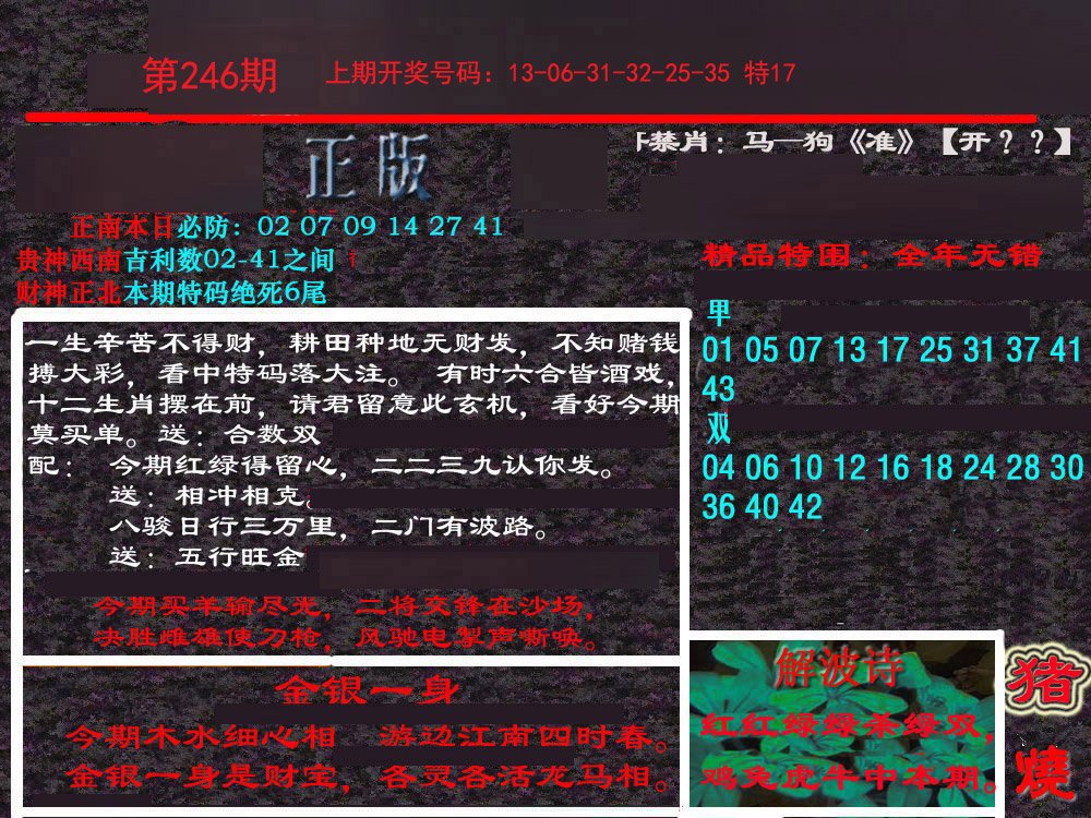 2024246期新港内幕