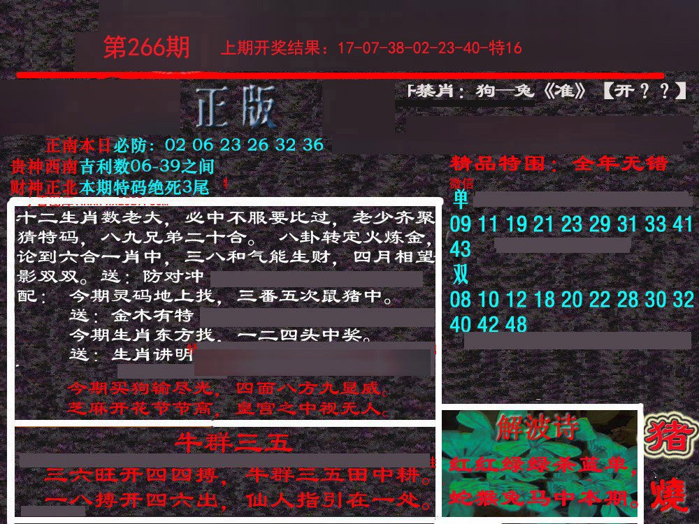 2024266期新港内幕