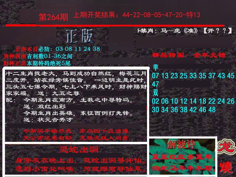 2024264期新港内幕