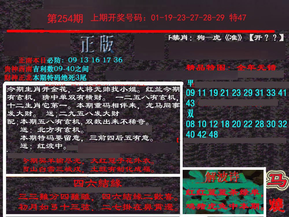 2024254期新港内幕