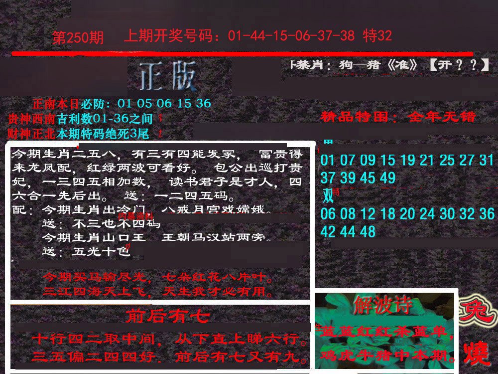 2024250期新港内幕