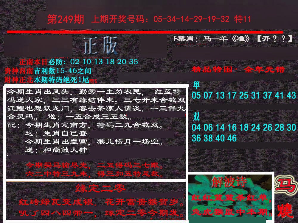 2024249期新港内幕
