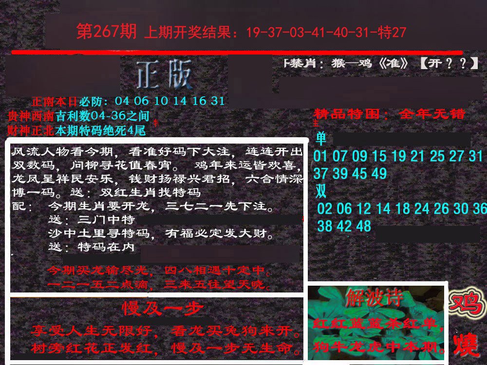 2024267期新港内幕
