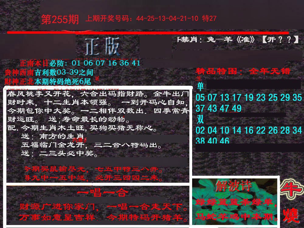 2024255期新港内幕