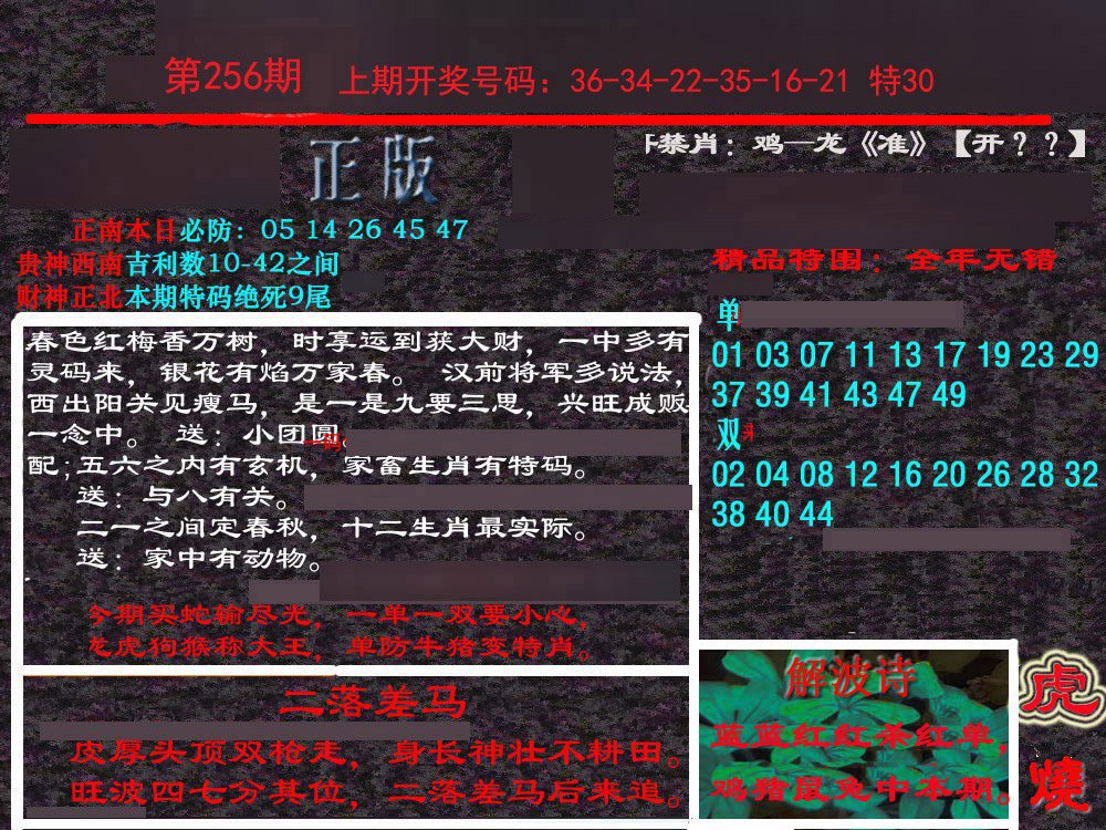 2024256期新港内幕