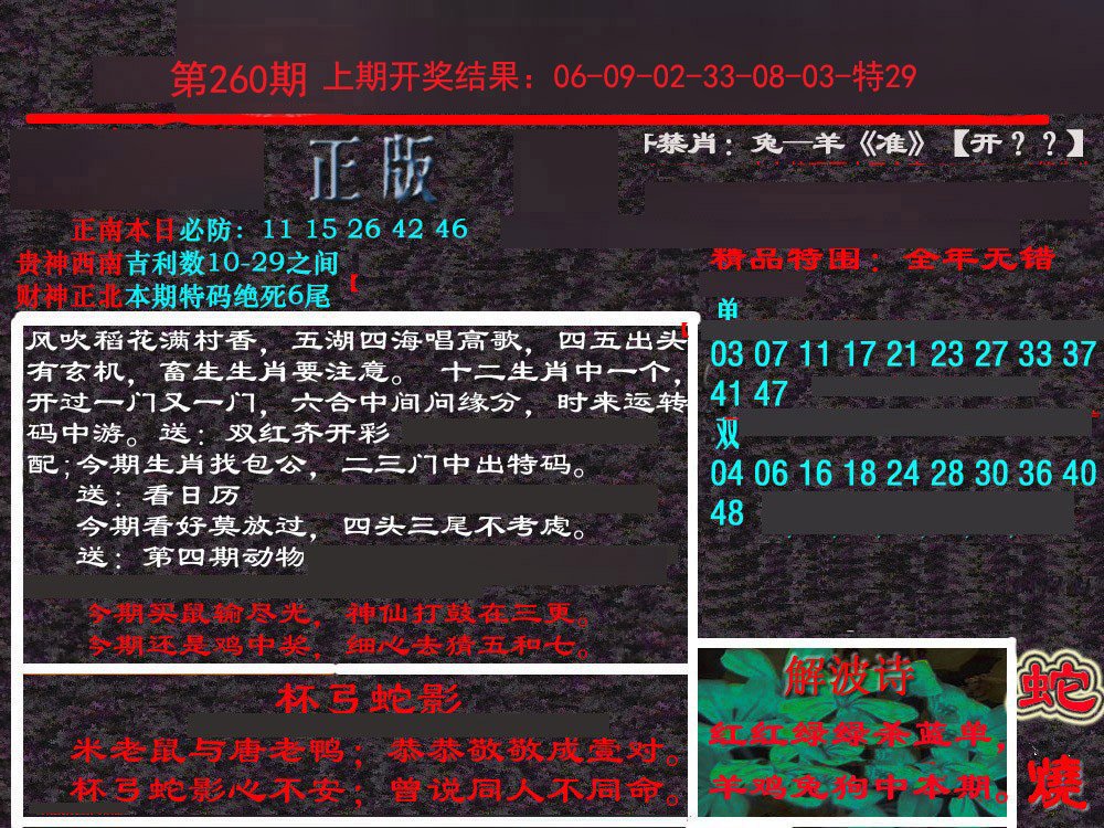 2024260期新港内幕