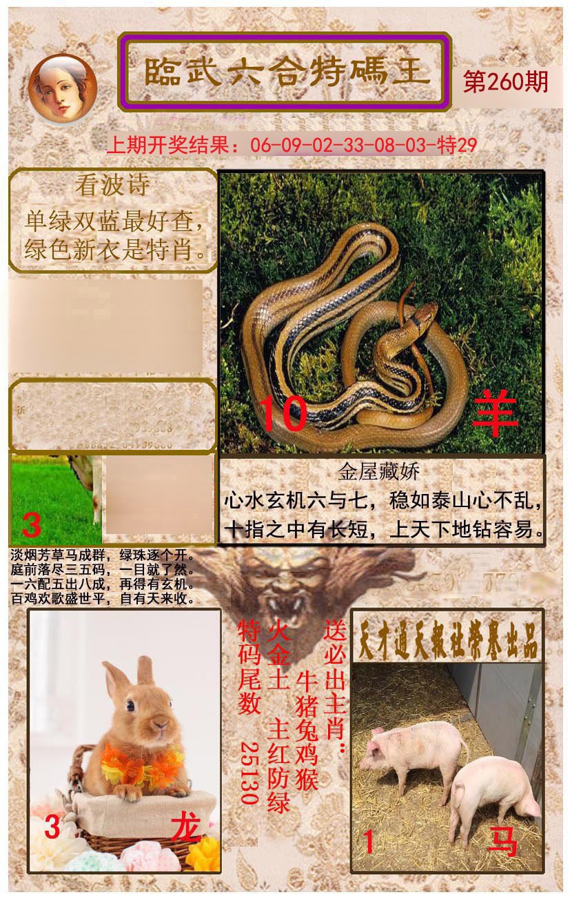 2024260期临武六合特码王