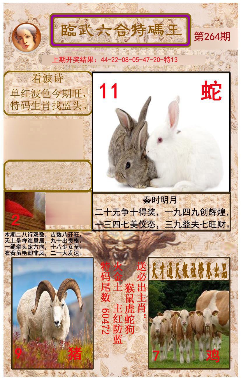 2024264期临武六合特码王
