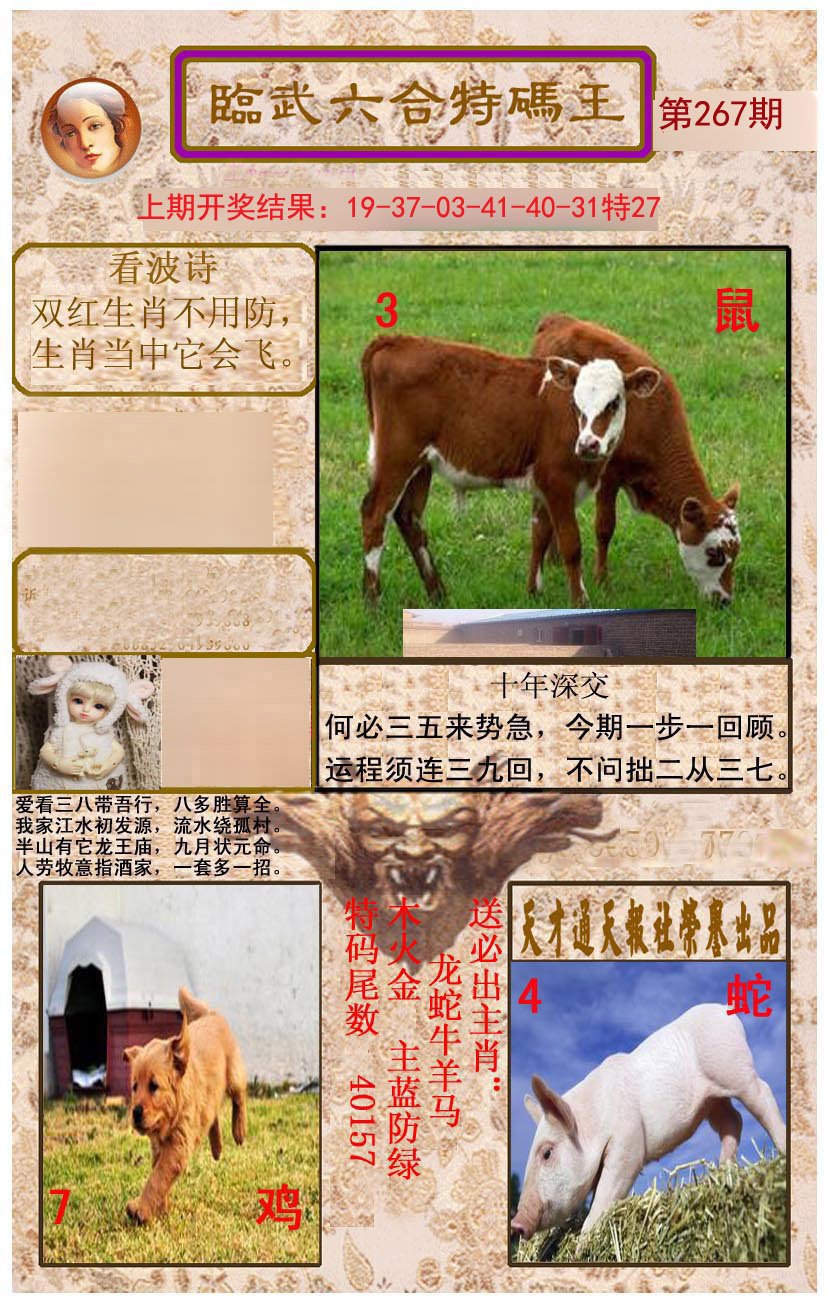 2024267期临武六合特码王