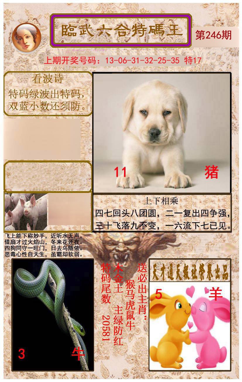 2024246期临武六合特码王