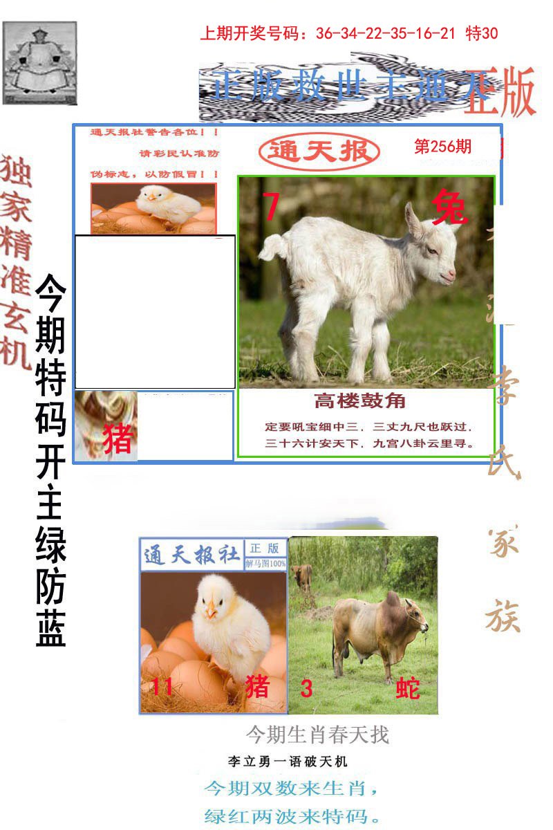 2024256期李力勇通天报