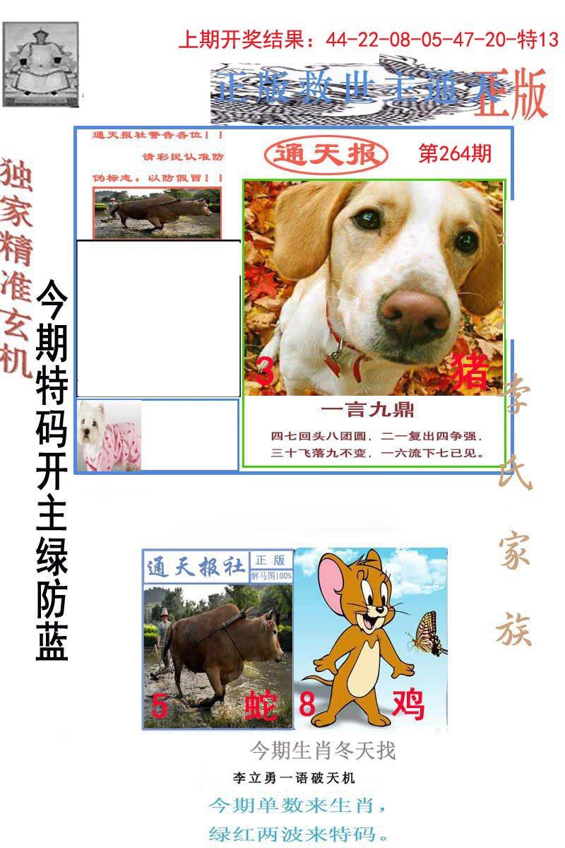 2024264期李力勇通天报