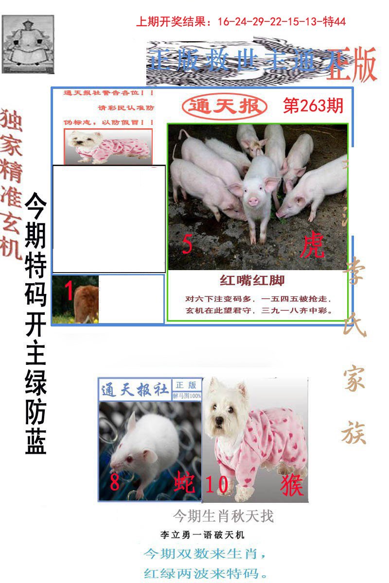 2024263期李力勇通天报