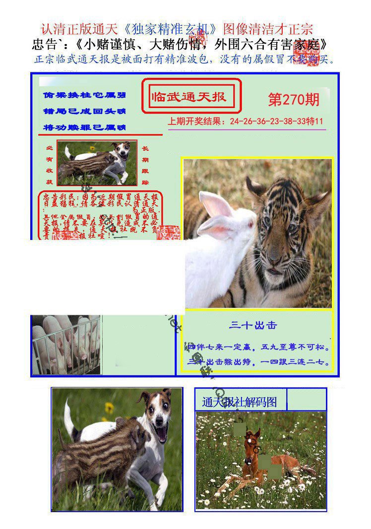 2024270期临武通天报