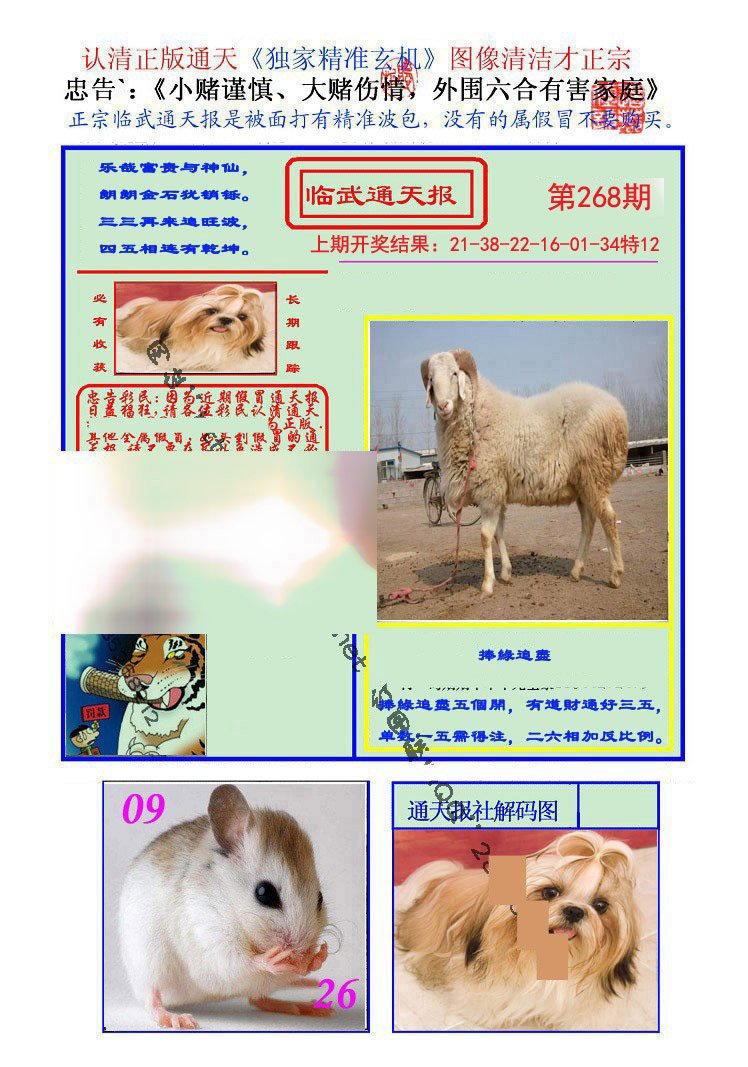 2024268期临武通天报