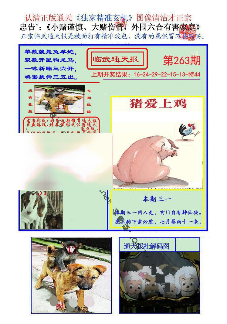 2024263期临武通天报