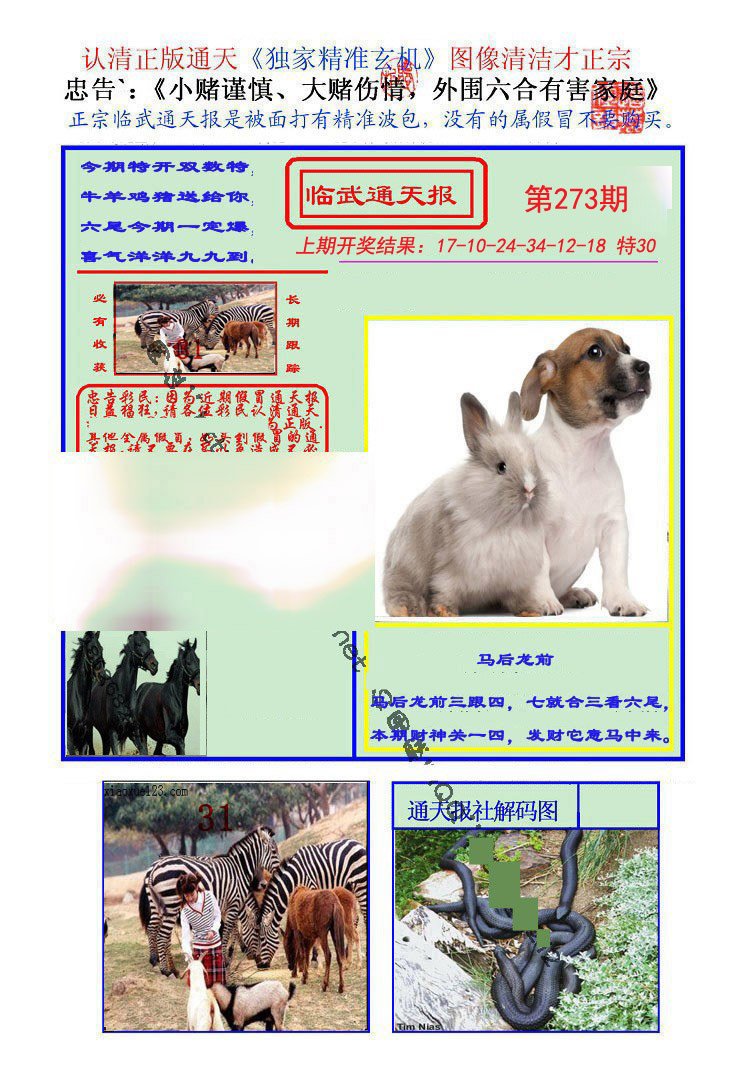 2024273期临武通天报
