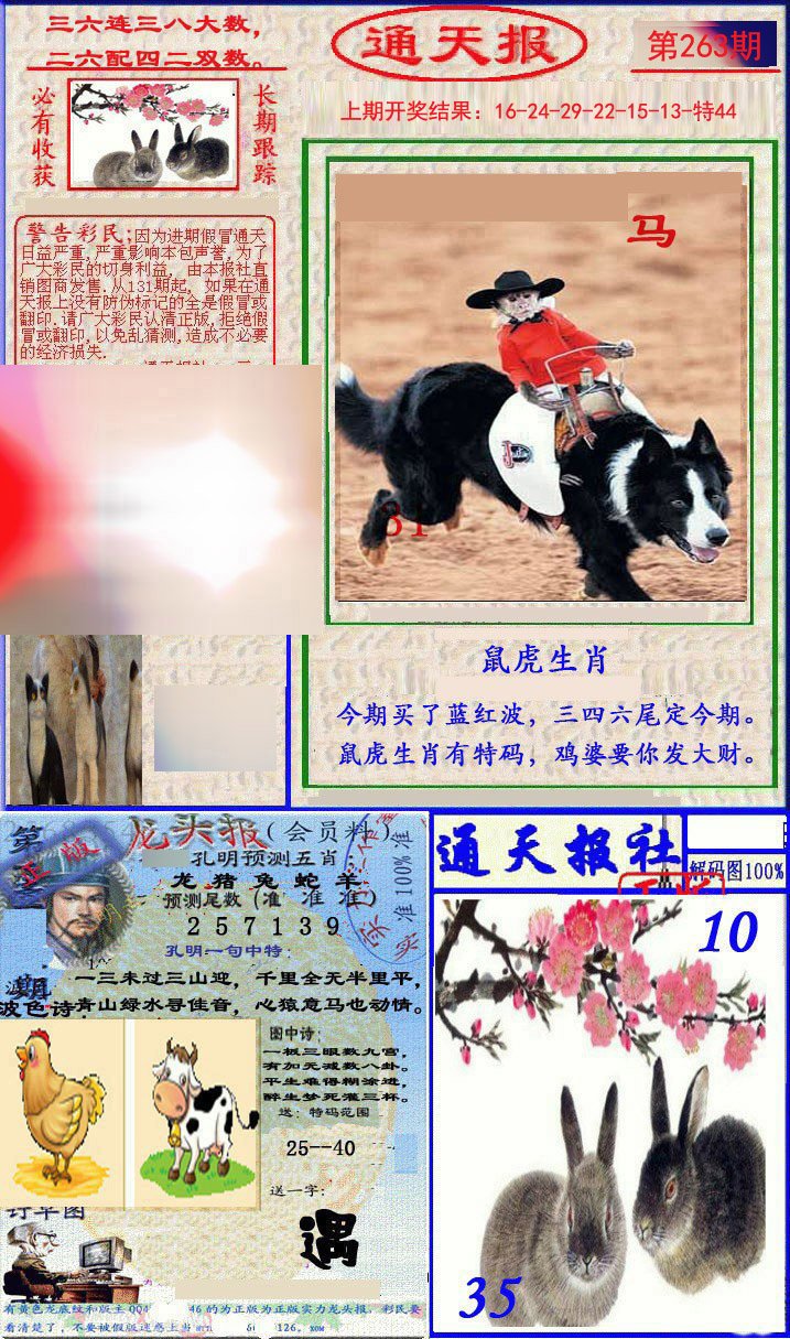 2024263期实力通天报