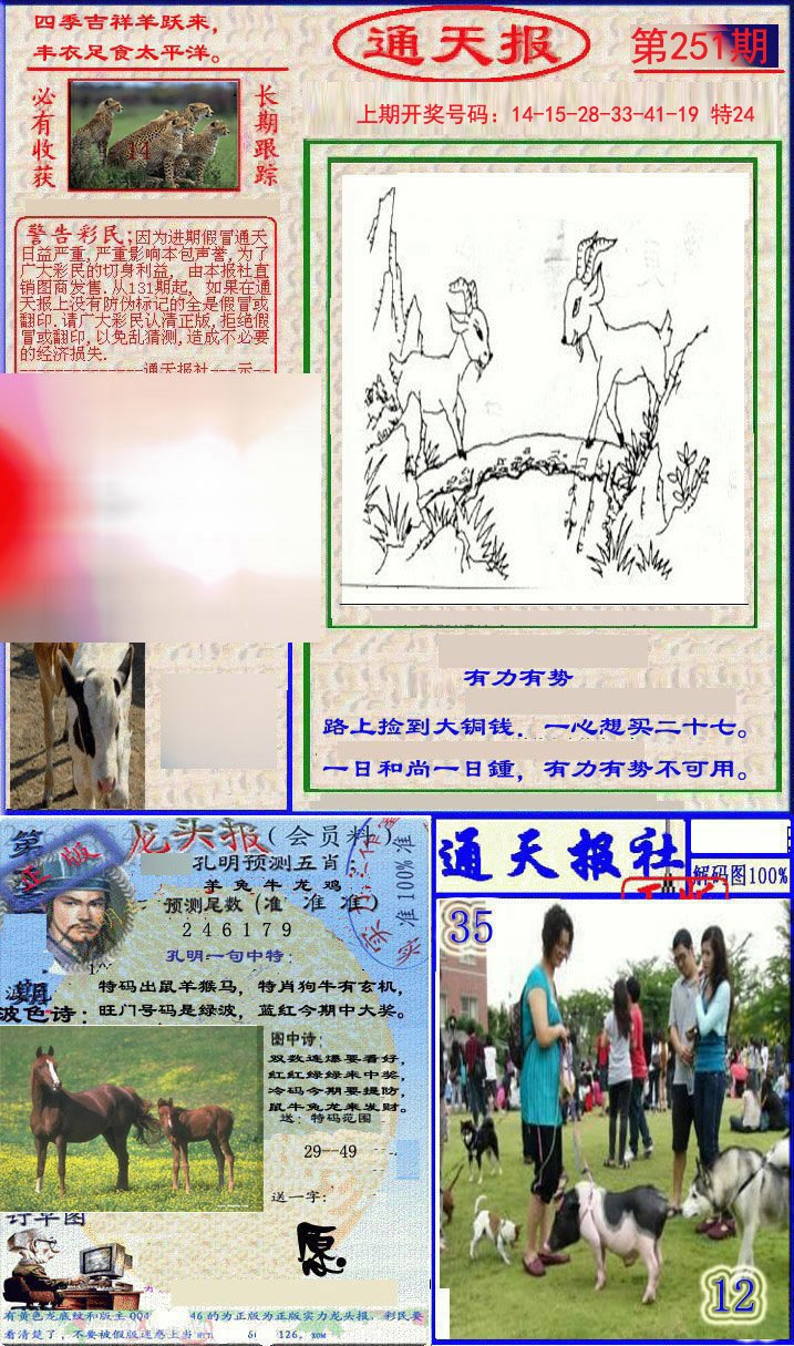 2024251期实力通天报