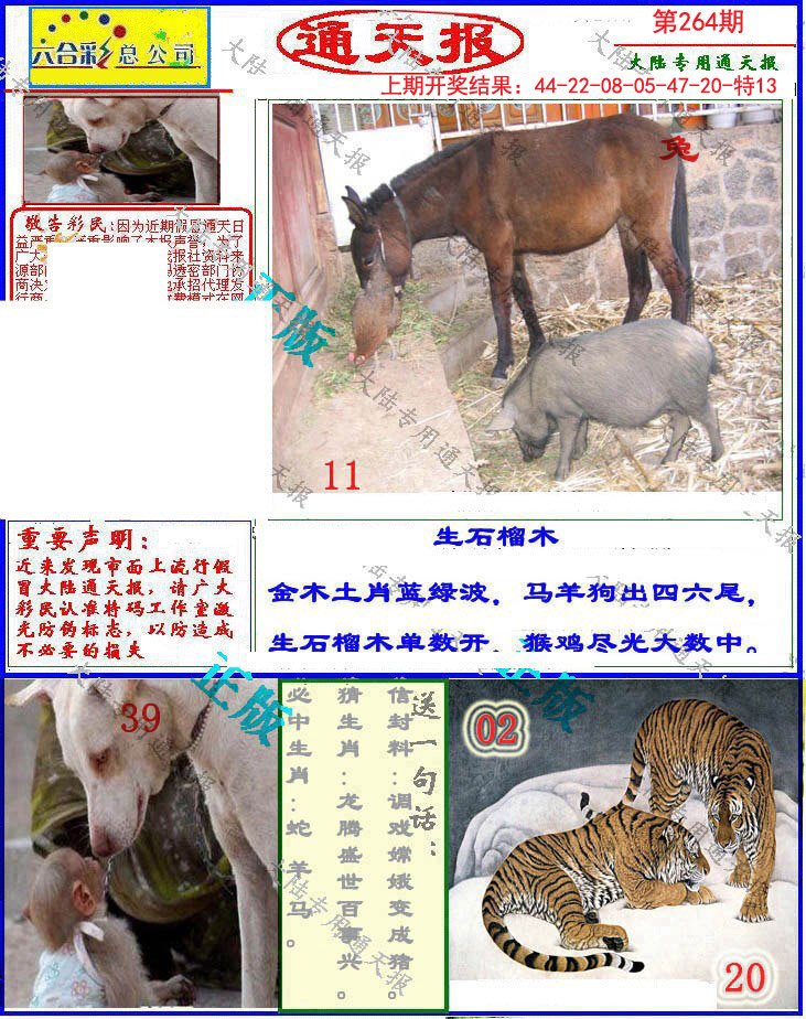 2024264期大陆通天报