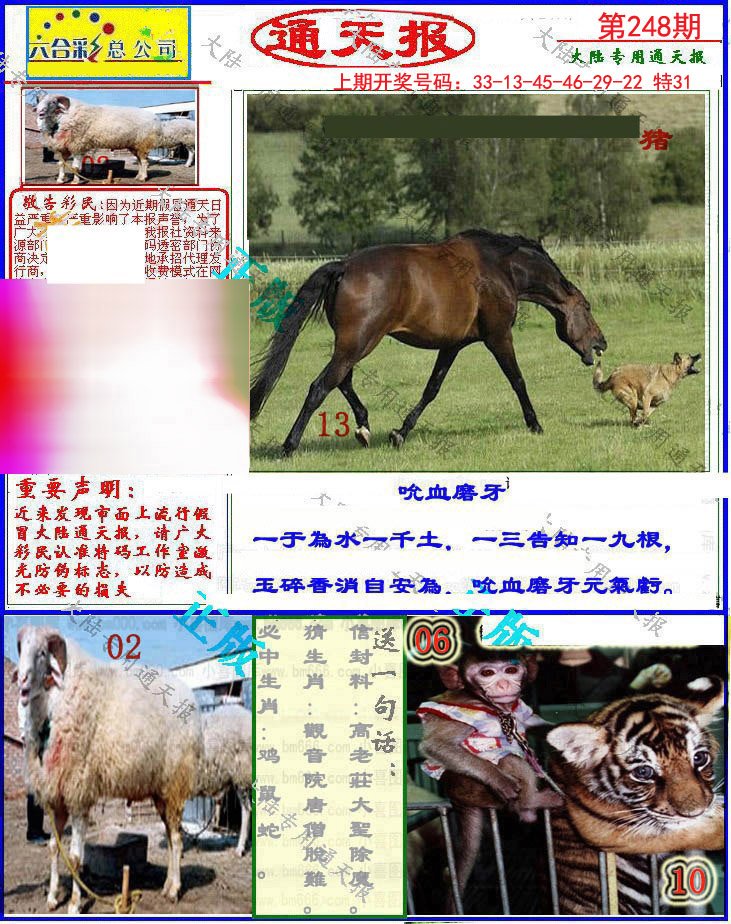 2024248期大陆通天报