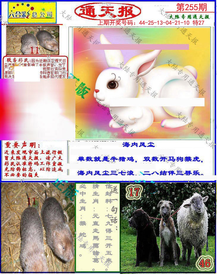 2024255期大陆通天报