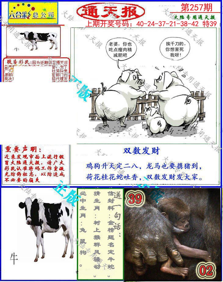 2024257期大陆通天报