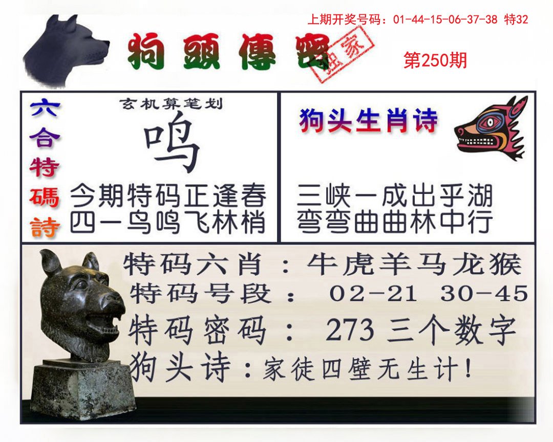 2024250期狗头传密