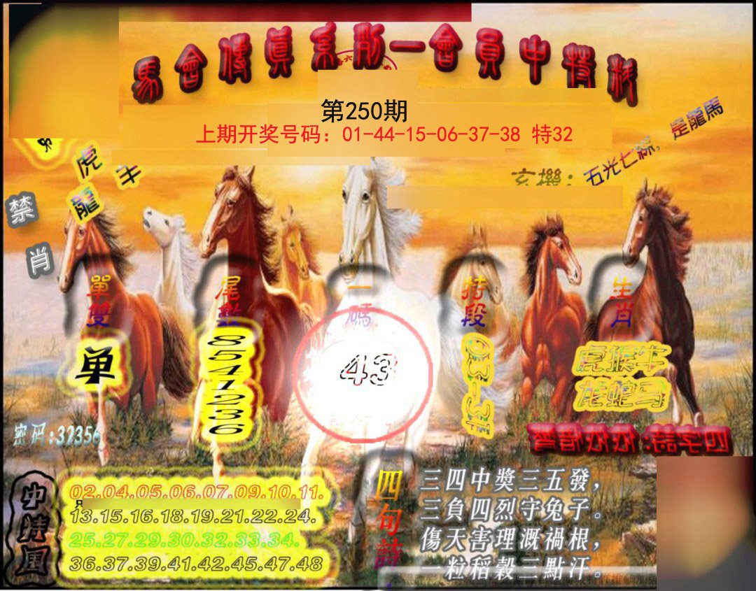 2024250期马会传真-会员报