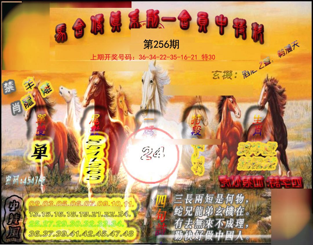2024256期马会传真-会员报