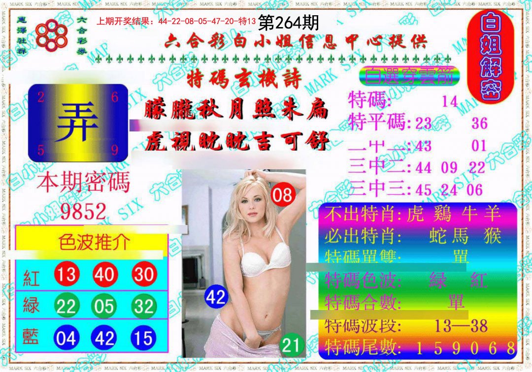 2024264期白姐解密《另版》