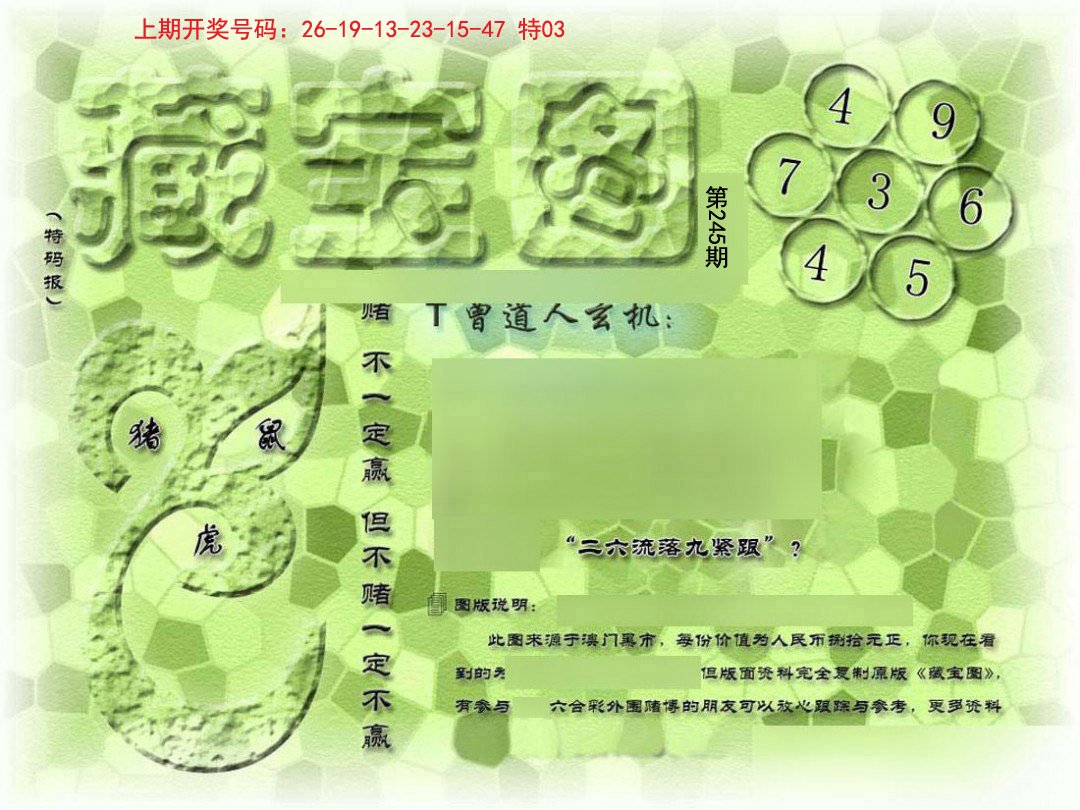 2024245期假新藏宝图