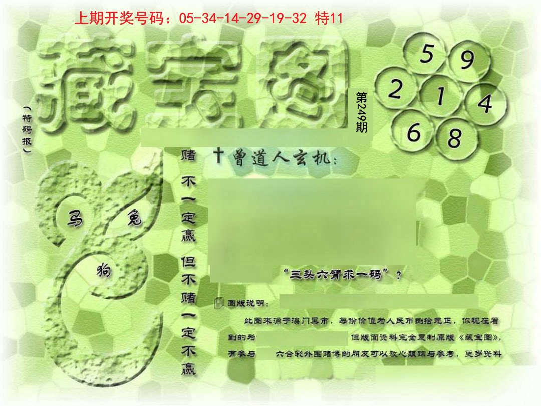 2024249期假新藏宝图