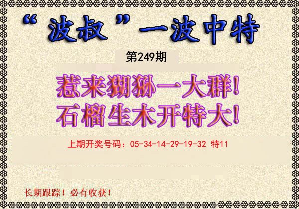 2024249期波叔一波中特